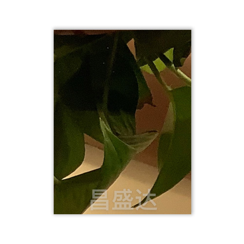 產(chǎn)品名稱